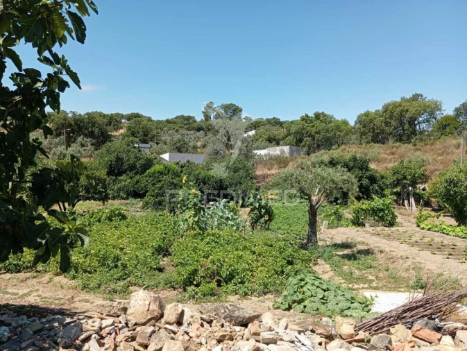 Quinta T0 para Venda em Alegrete Foto 10