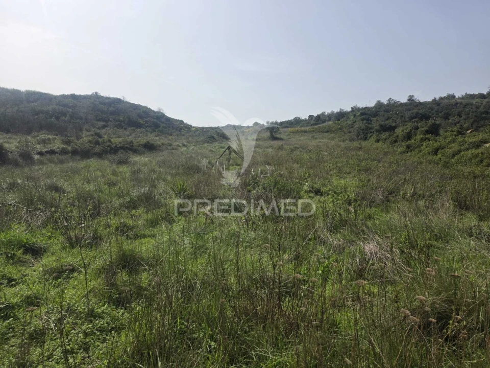 Terreno para Venda em Arranho Foto 9