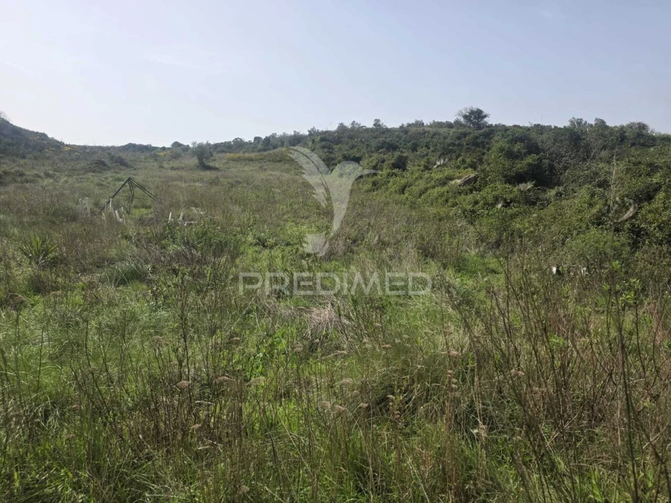 Terreno para Venda em Arranho Foto 1