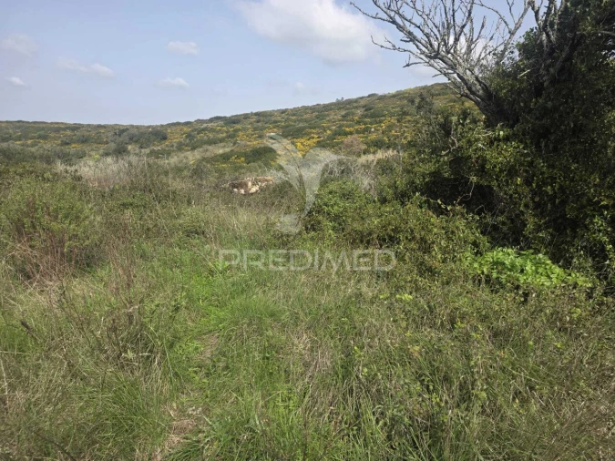 Terreno para Venda em Arranho Foto 2