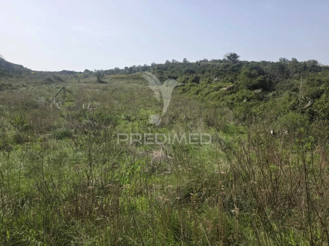 Terreno para Venda em Arranho Foto 1