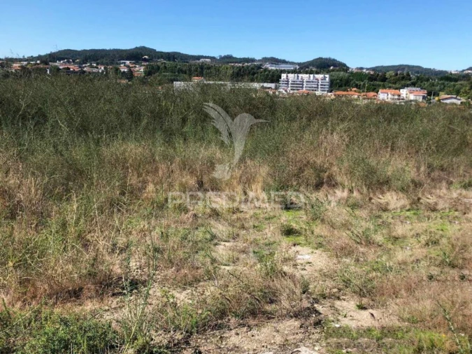 Terreno para Venda em Vila das Aves Foto 11