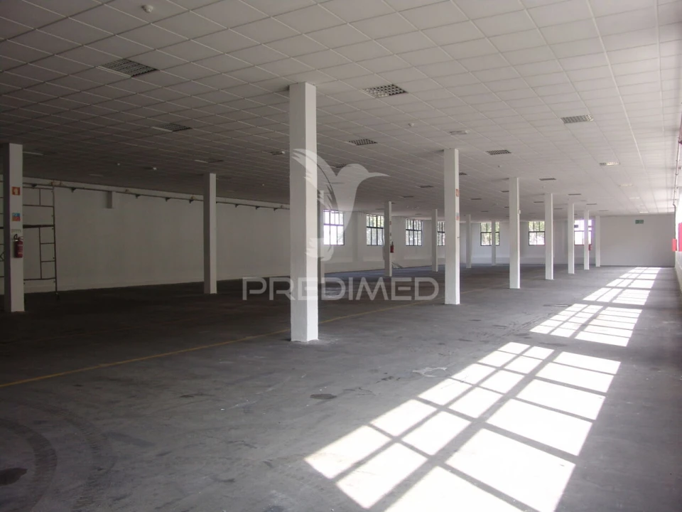 Armazém para Arrendamento em Paranhos Foto 3