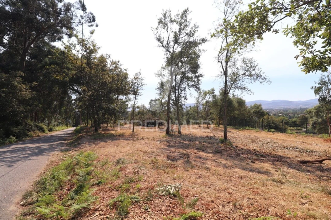 Terreno para Venda em Turiz Foto 13