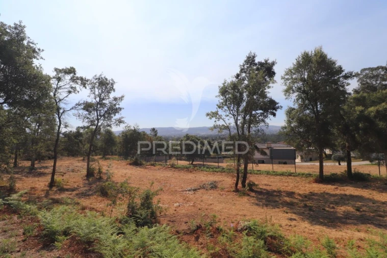 Terreno para Venda em Turiz Foto 4