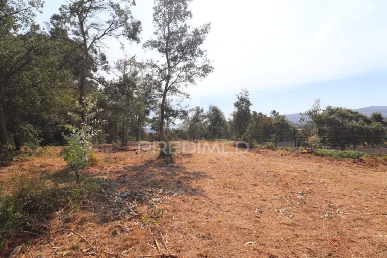 Terreno para Venda em Turiz Foto 23
