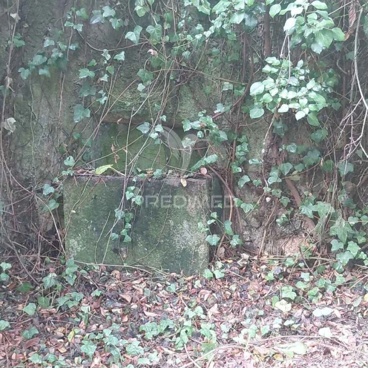 Moradia T0 para Venda em Alpalhão Foto 10