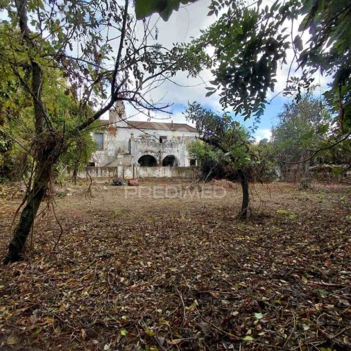 Moradia T0 para Venda em Alpalhão Foto 25