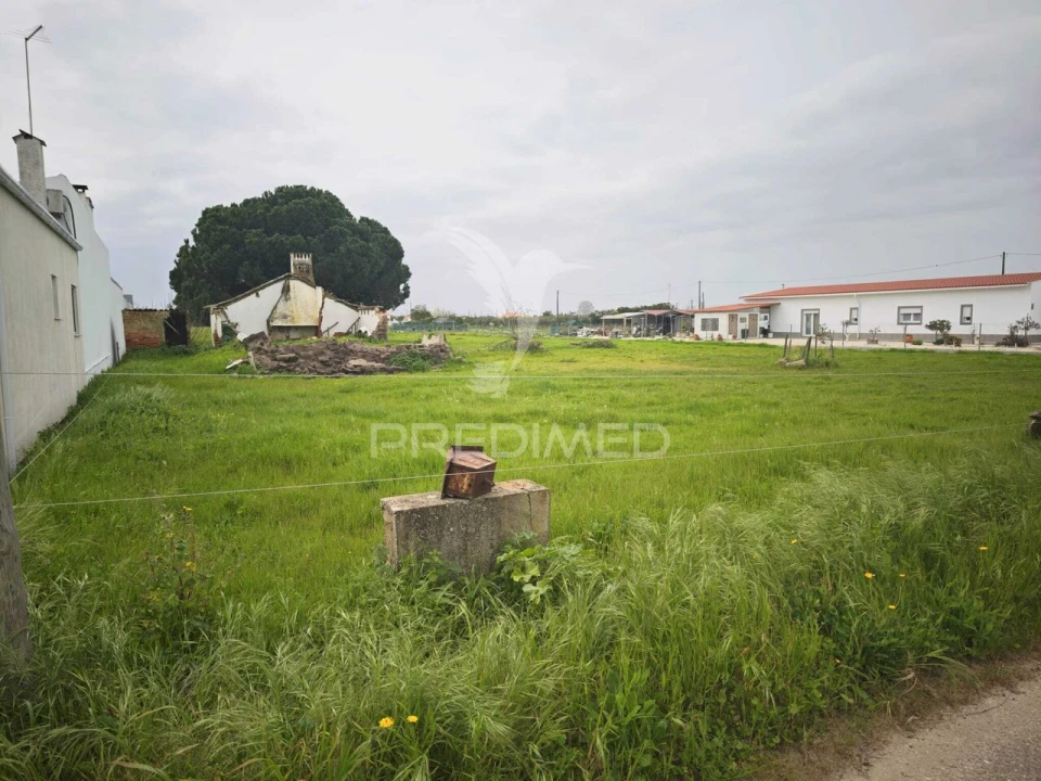 Terreno para Venda em Marinhais Foto 3