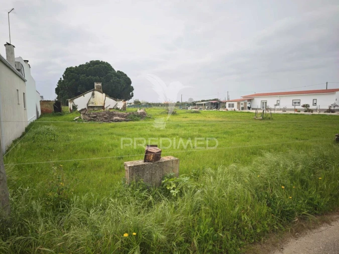 Terreno para Venda em Marinhais Foto 3