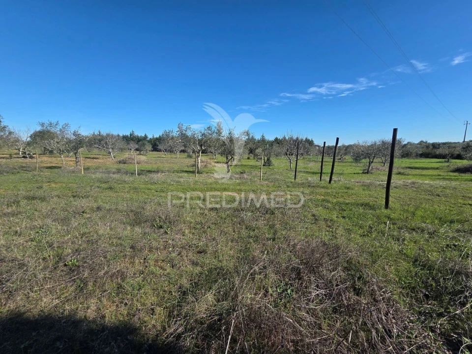 Quinta T0 para Venda em Paialvo Foto 40