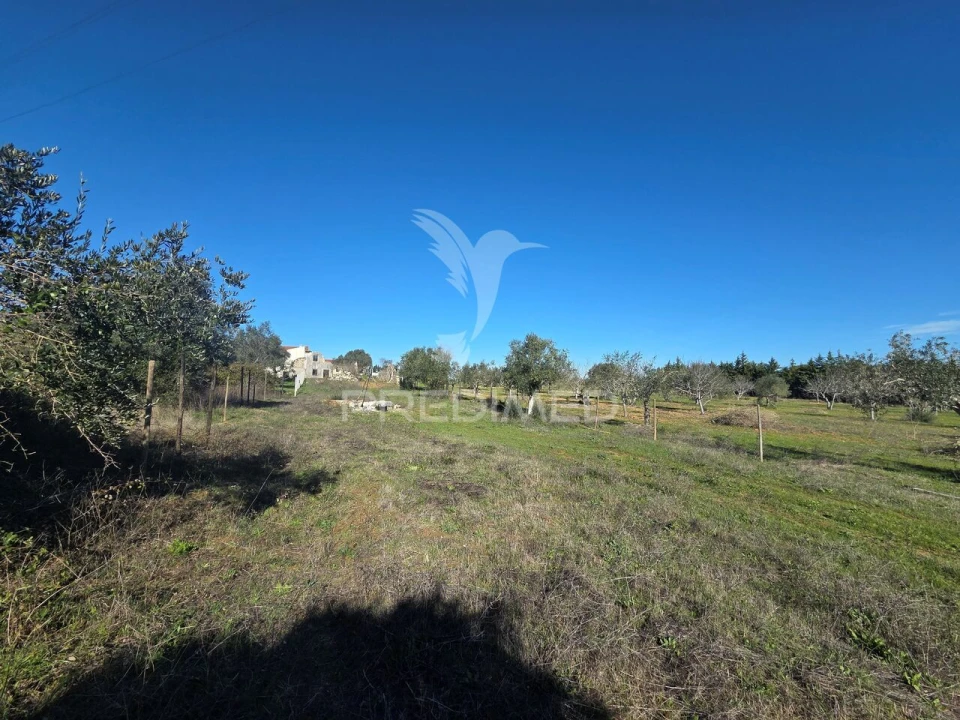 Quinta T0 para Venda em Paialvo Foto 39