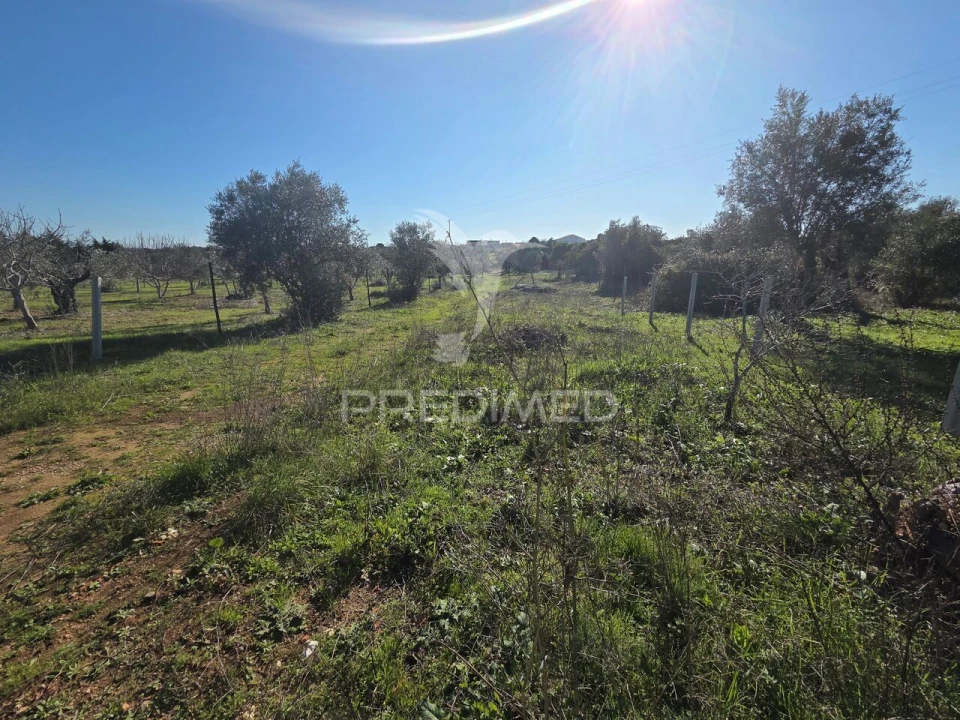 Quinta T0 para Venda em Paialvo Foto 19