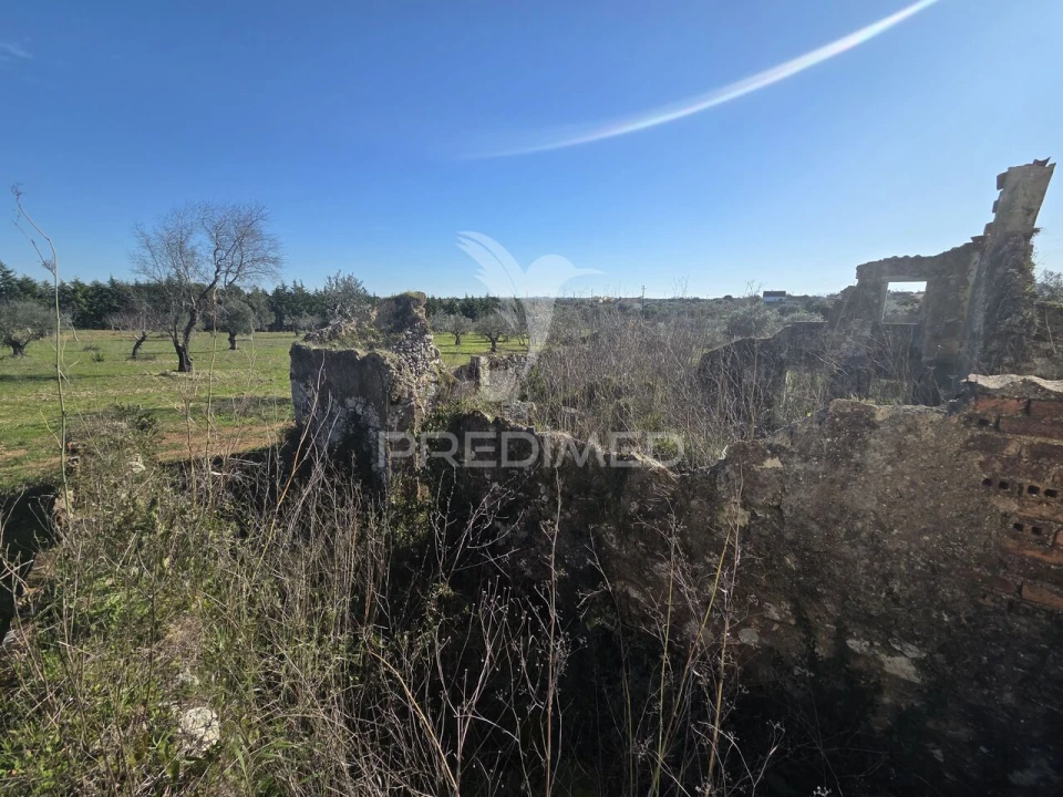 Quinta T0 para Venda em Paialvo Foto 5