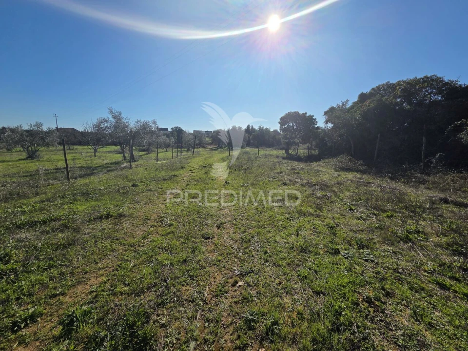 Quinta T0 para Venda em Paialvo Foto 21