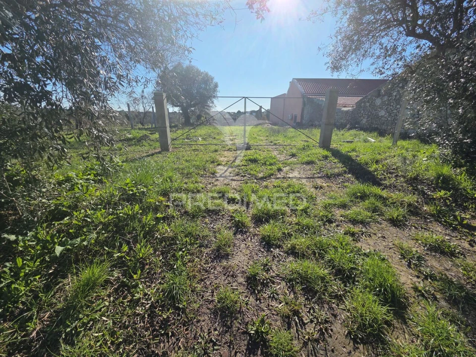 Quinta T0 para Venda em Paialvo Foto 1