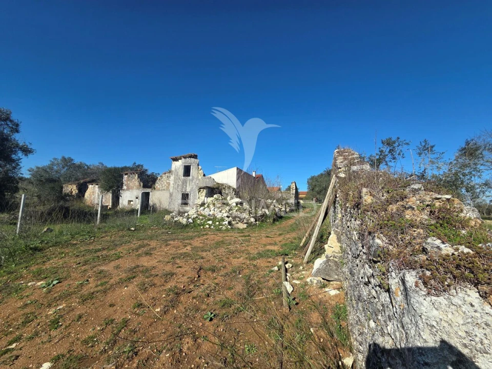 Quinta T0 para Venda em Paialvo Foto 12