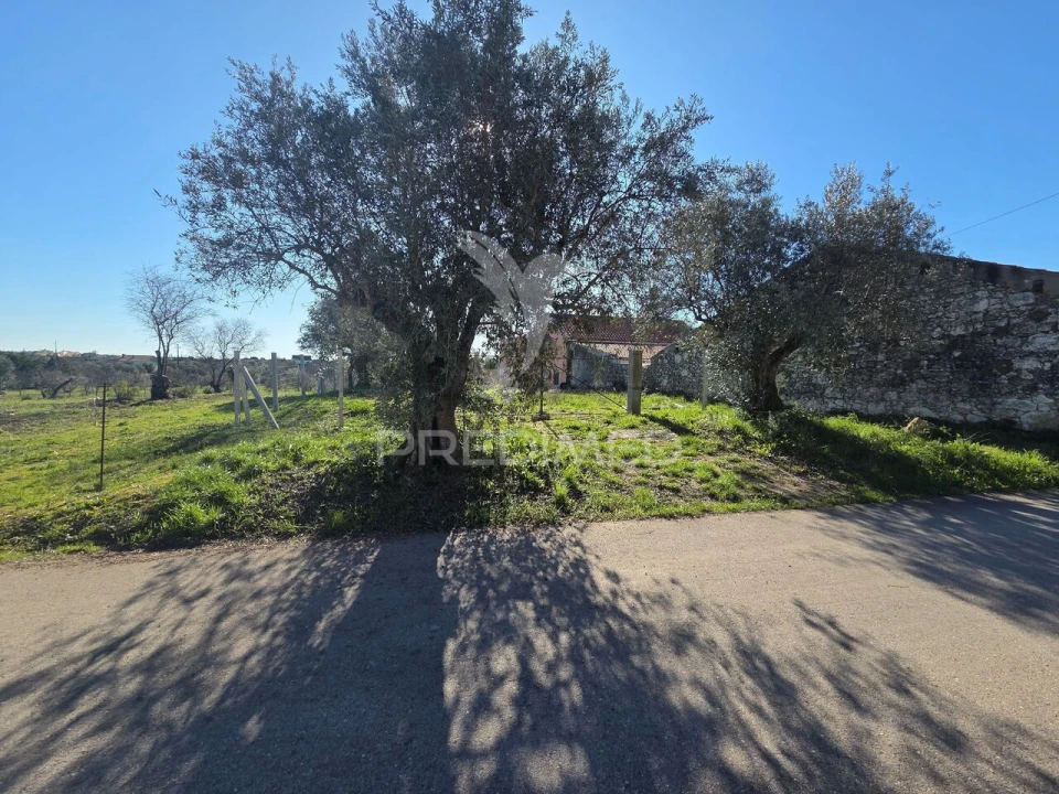 Quinta T0 para Venda em Paialvo Foto 4