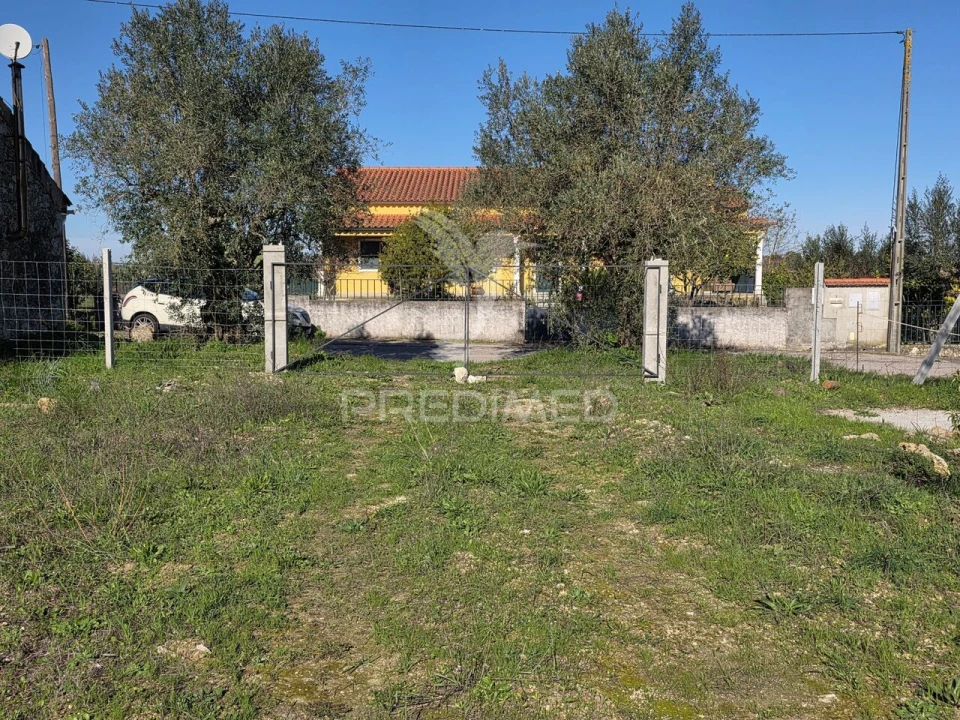 Quinta T0 para Venda em Paialvo Foto 3