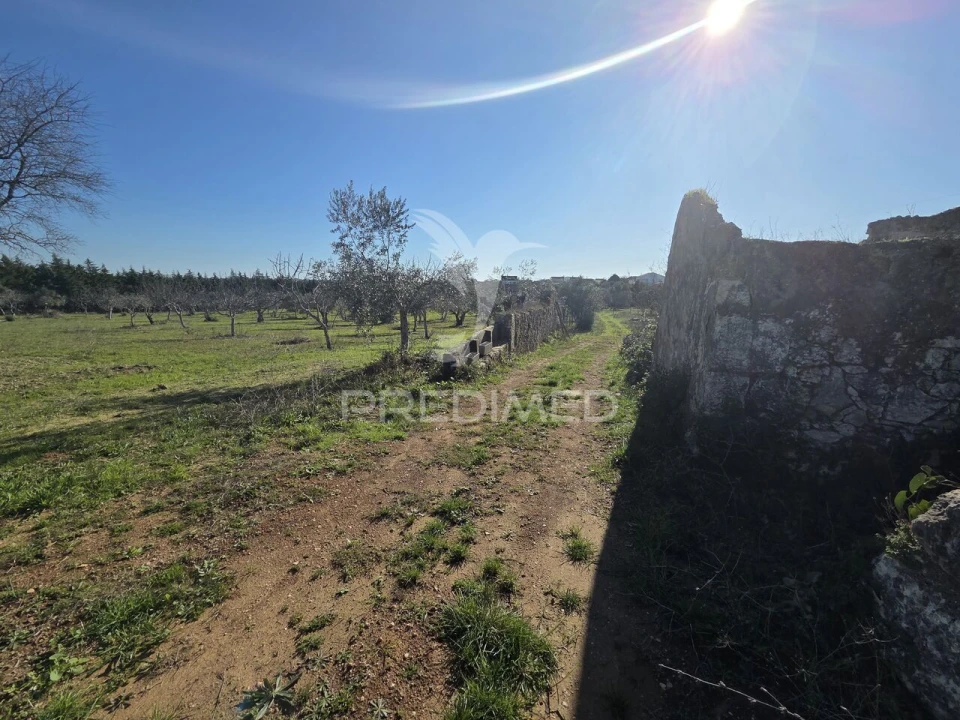 Quinta T0 para Venda em Paialvo Foto 8