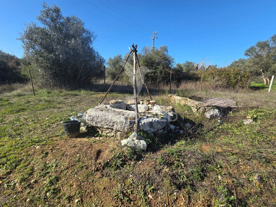 Quinta T0 para Venda em Paialvo Foto 15