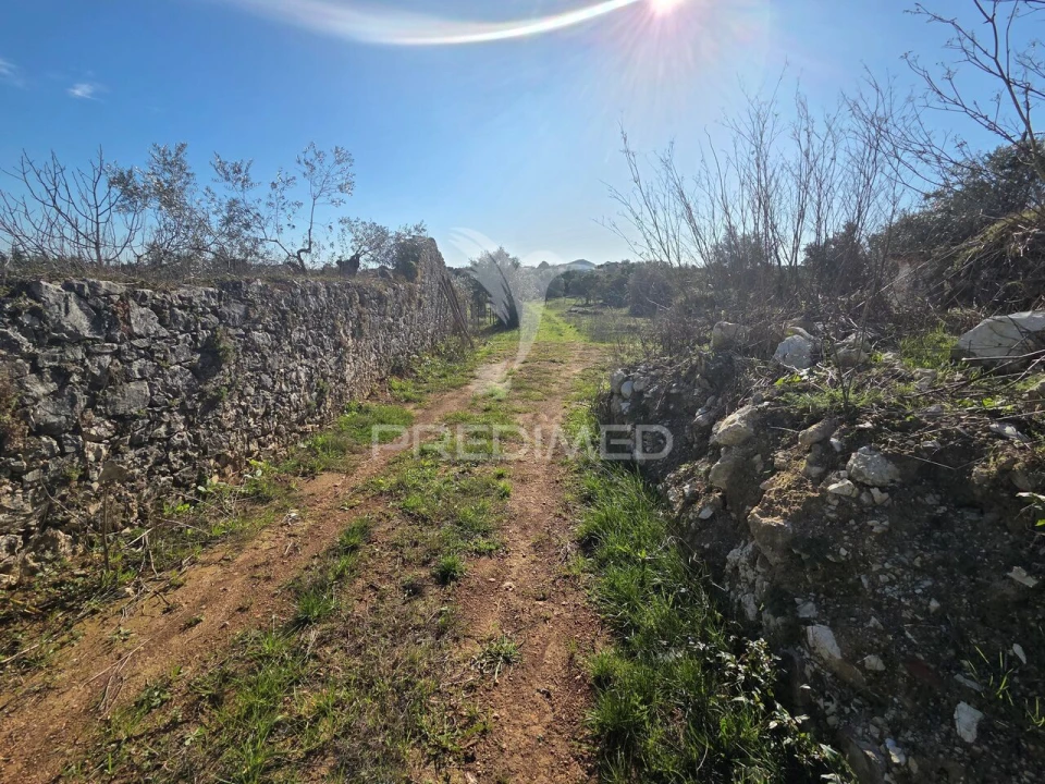 Quinta T0 para Venda em Paialvo Foto 14