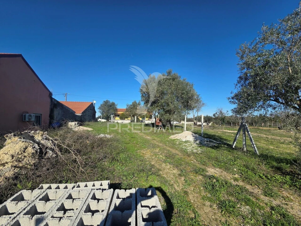 Quinta T0 para Venda em Paialvo Foto 2