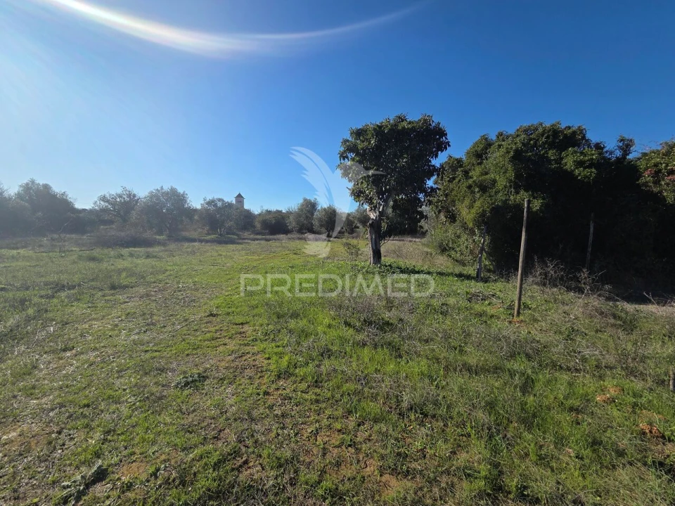 Quinta T0 para Venda em Paialvo Foto 24