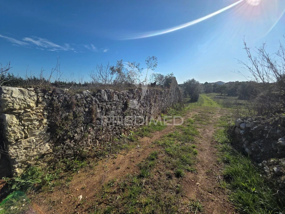 Quinta T0 para Venda em Paialvo Foto 9