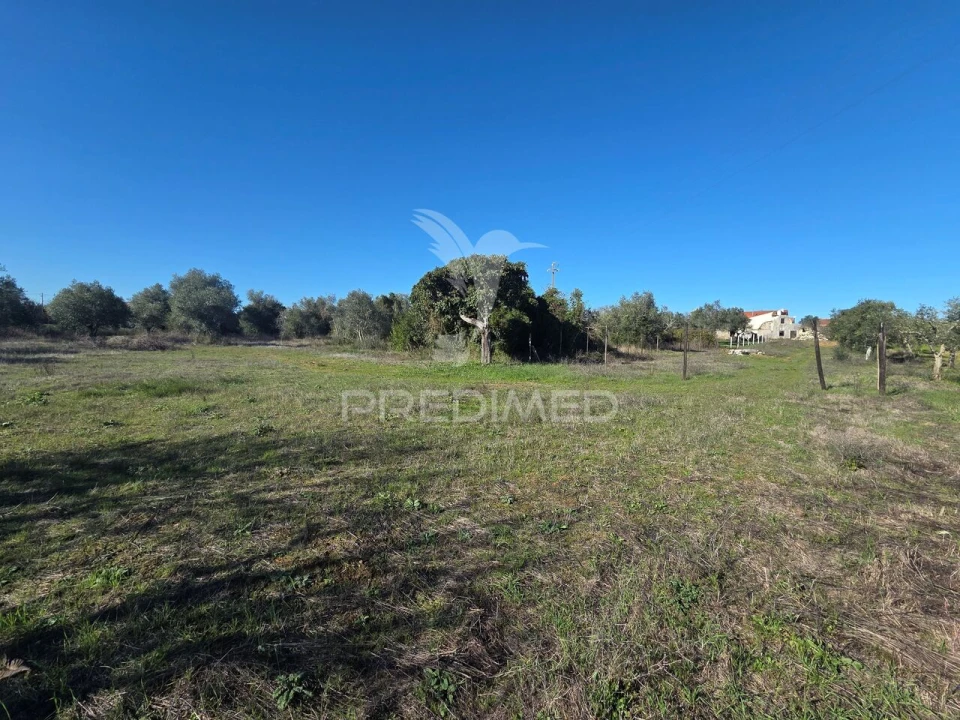 Quinta T0 para Venda em Paialvo Foto 27