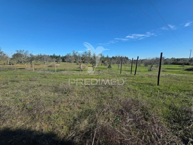 Quinta T0 para Venda em Paialvo Foto 40