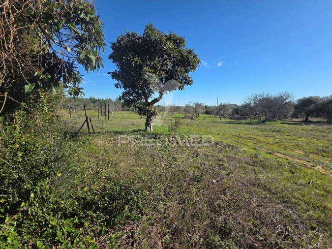 Quinta T0 para Venda em Paialvo Foto 37