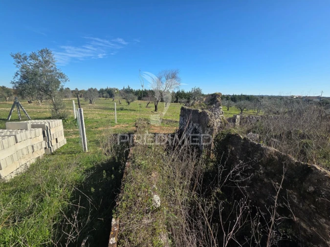 Quinta T0 para Venda em Paialvo Foto 13