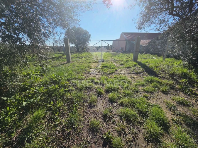 Quinta T0 para Venda em Paialvo Foto 1