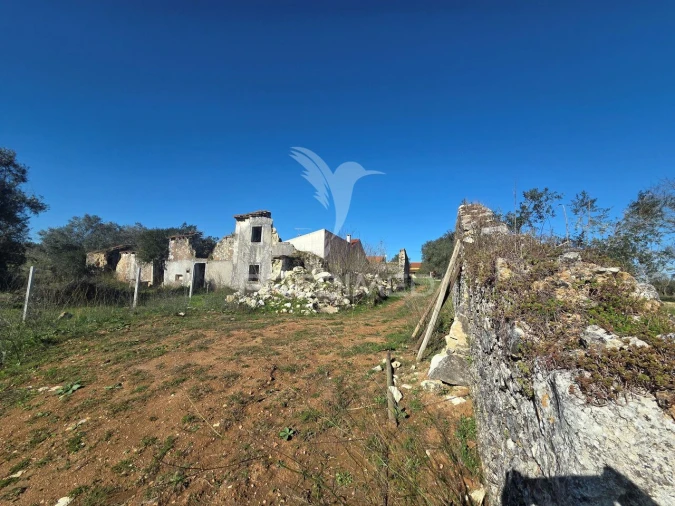 Quinta T0 para Venda em Paialvo Foto 12