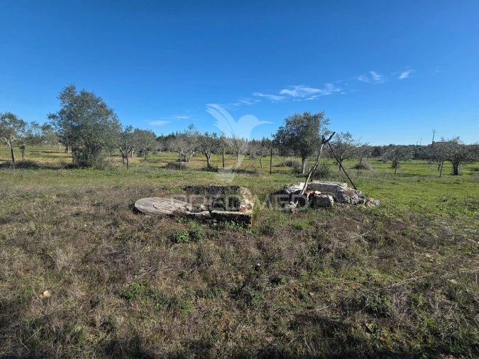 Quinta T0 para Venda em Paialvo Foto 16