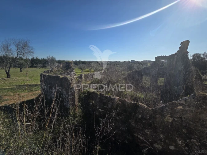 Quinta T0 para Venda em Paialvo Foto 7