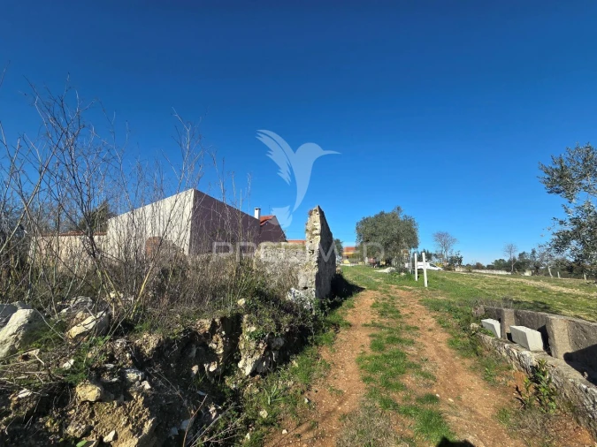 Quinta T0 para Venda em Paialvo Foto 11