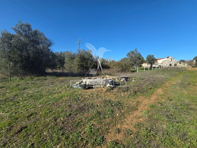 Quinta T0 para Venda em Paialvo Foto 17