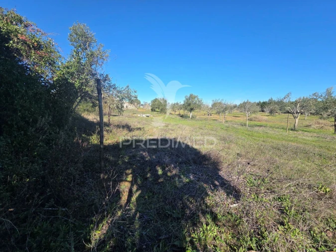 Quinta T0 para Venda em Paialvo Foto 38
