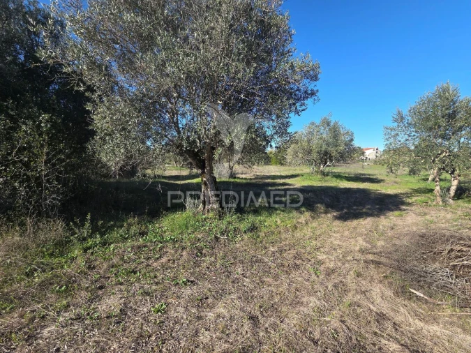 Quinta T0 para Venda em Paialvo Foto 28