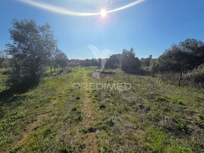 Quinta T0 para Venda em Paialvo Foto 20