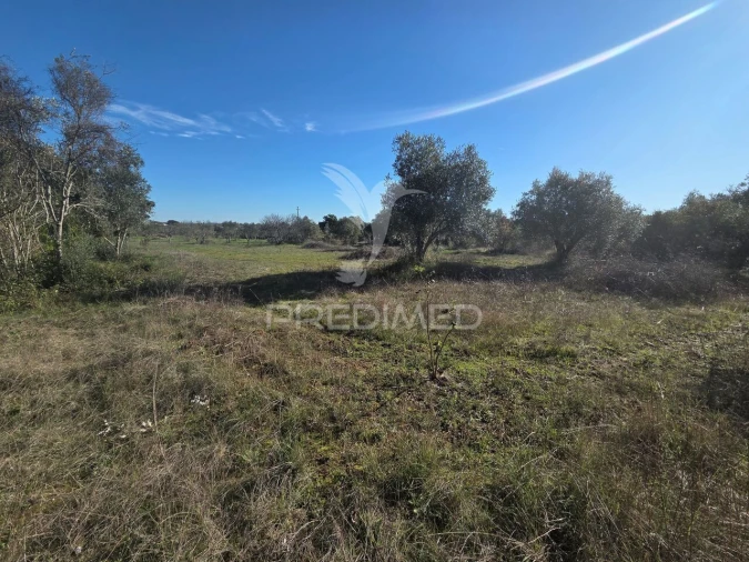 Quinta T0 para Venda em Paialvo Foto 34