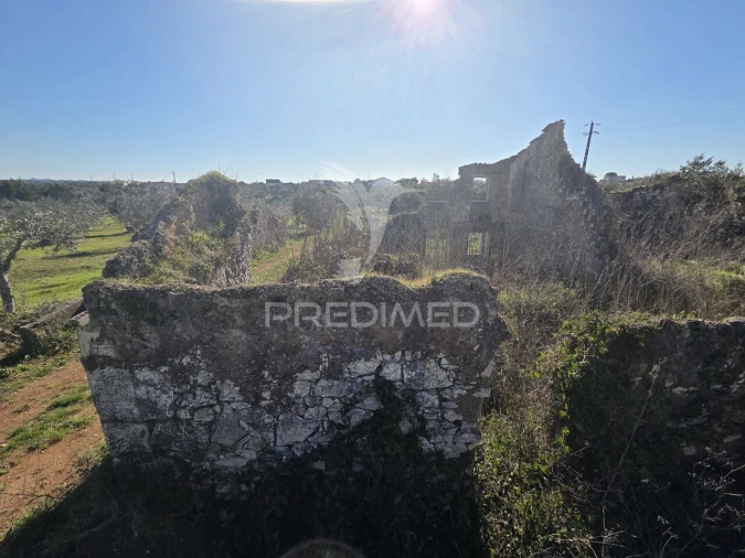 Quinta T0 para Venda em Paialvo Foto 6