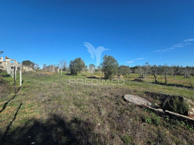 Quinta T0 para Venda em Paialvo Foto 18