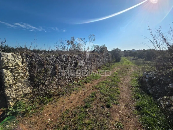 Quinta T0 para Venda em Paialvo Foto 9