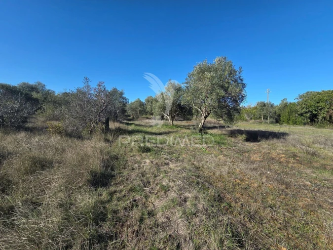 Quinta T0 para Venda em Paialvo Foto 30