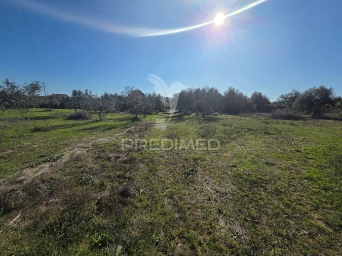 Quinta T0 para Venda em Paialvo Foto 22