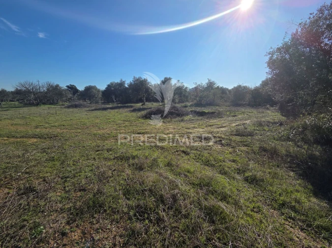 Quinta T0 para Venda em Paialvo Foto 36