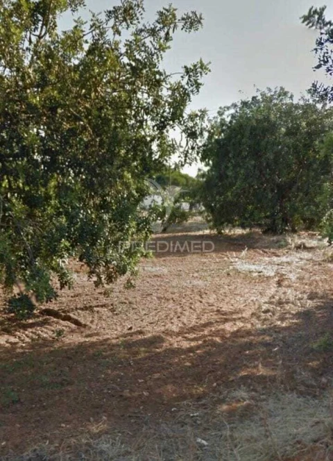 Terreno para Arrendamento em Quarteira